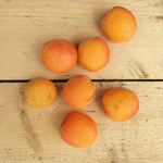 apricots 400g