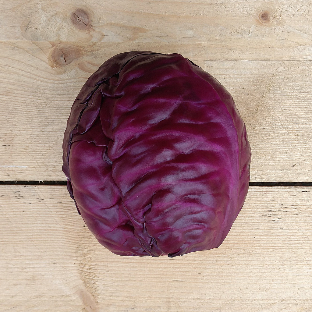 cabbage red 900g