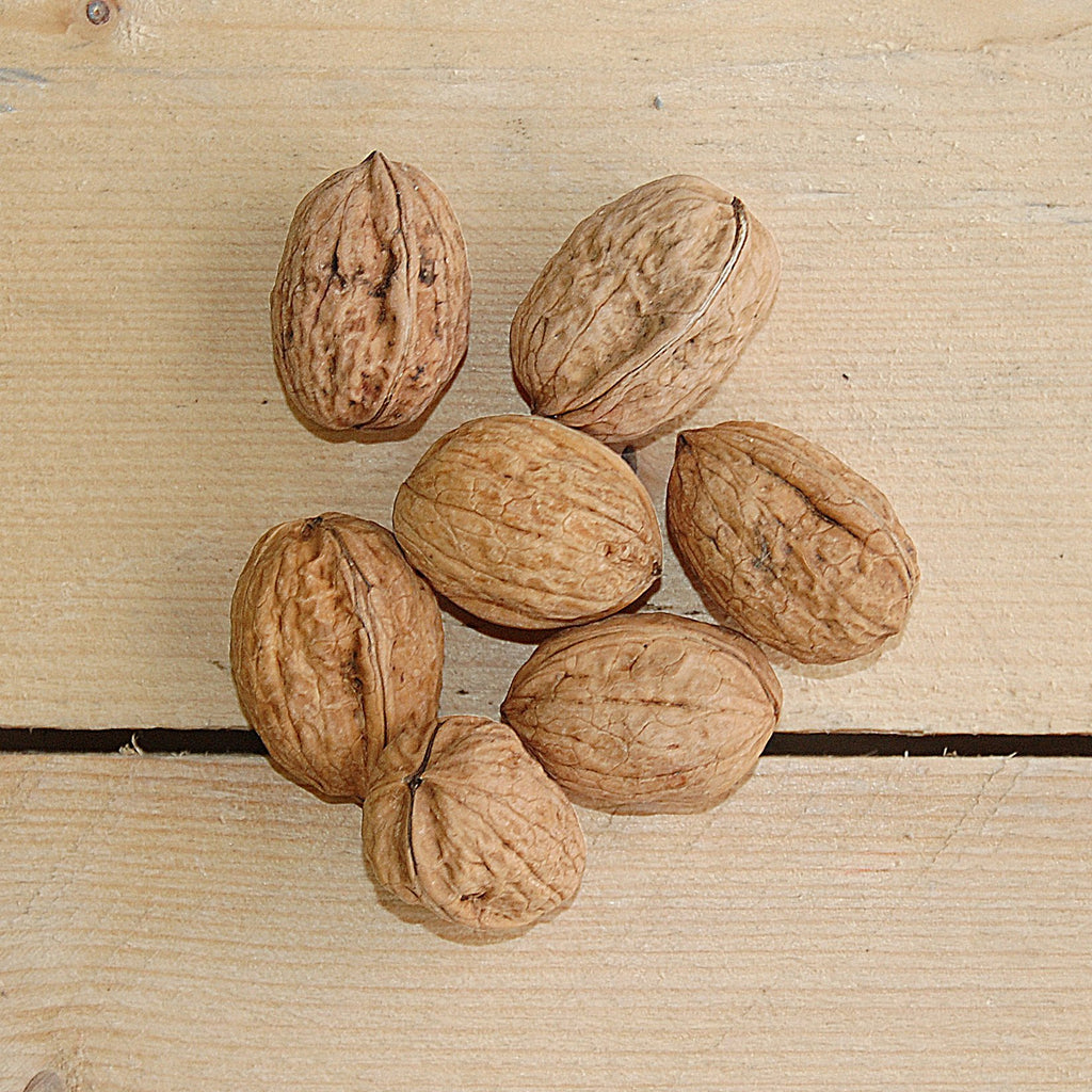 walnuts in shells 250g