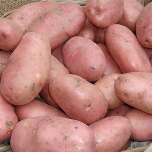 Potatoes Sarpo Una (BD) 1kg