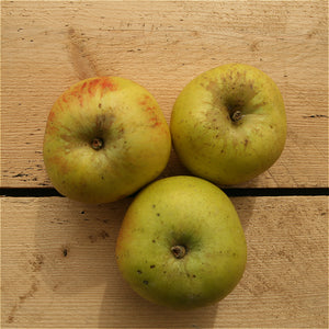 apples bramley (cooking) (bd) 500g suffolk