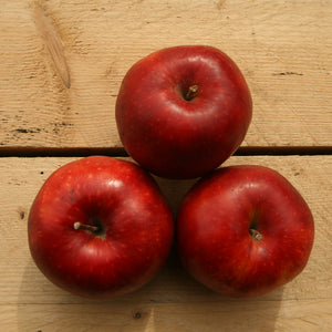 apples worcester 500gm kent