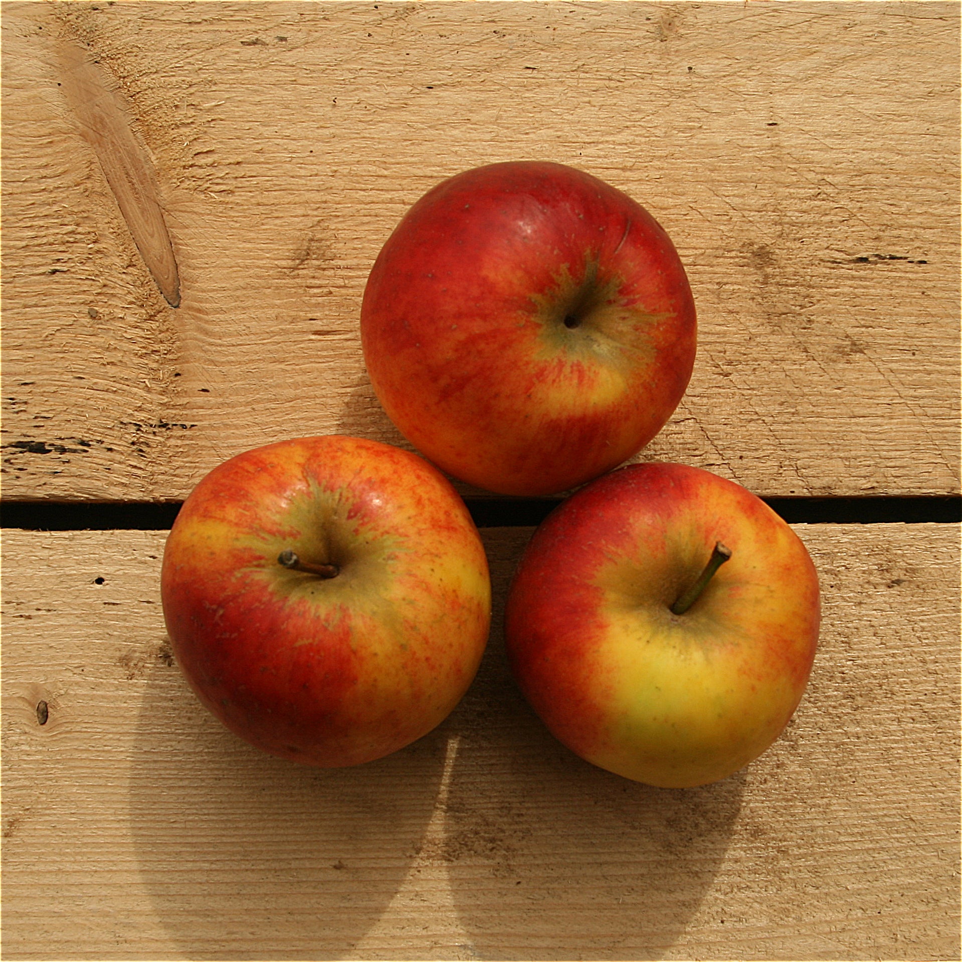 apples jonagold (bd) 500g suffolk