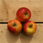 apples jonagold (bd) 500g suffolk
