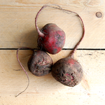 beetroot chioggia 500g