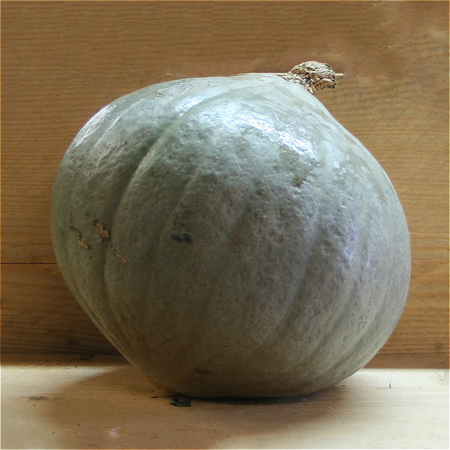 squash crown prince approximately 2kg kent