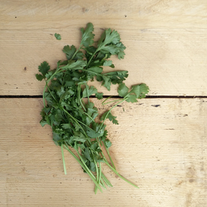 coriander 50g pack