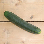 cucumber large
