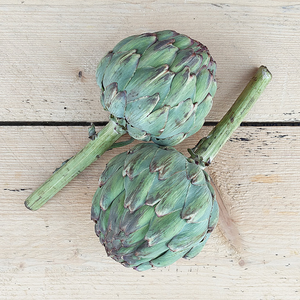 globe artichoke green cambs