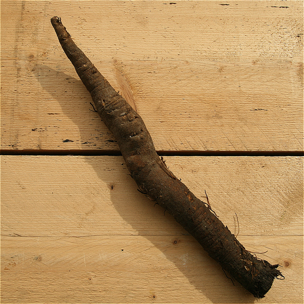 burdock root 200g