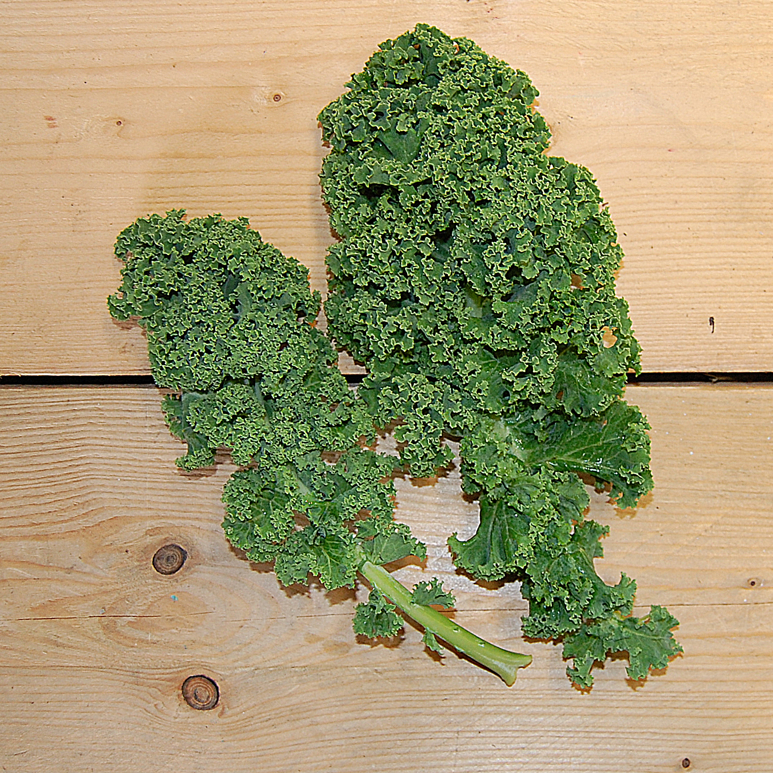 kale green (bd) 300g kent