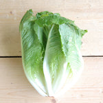 lettuce cos kent