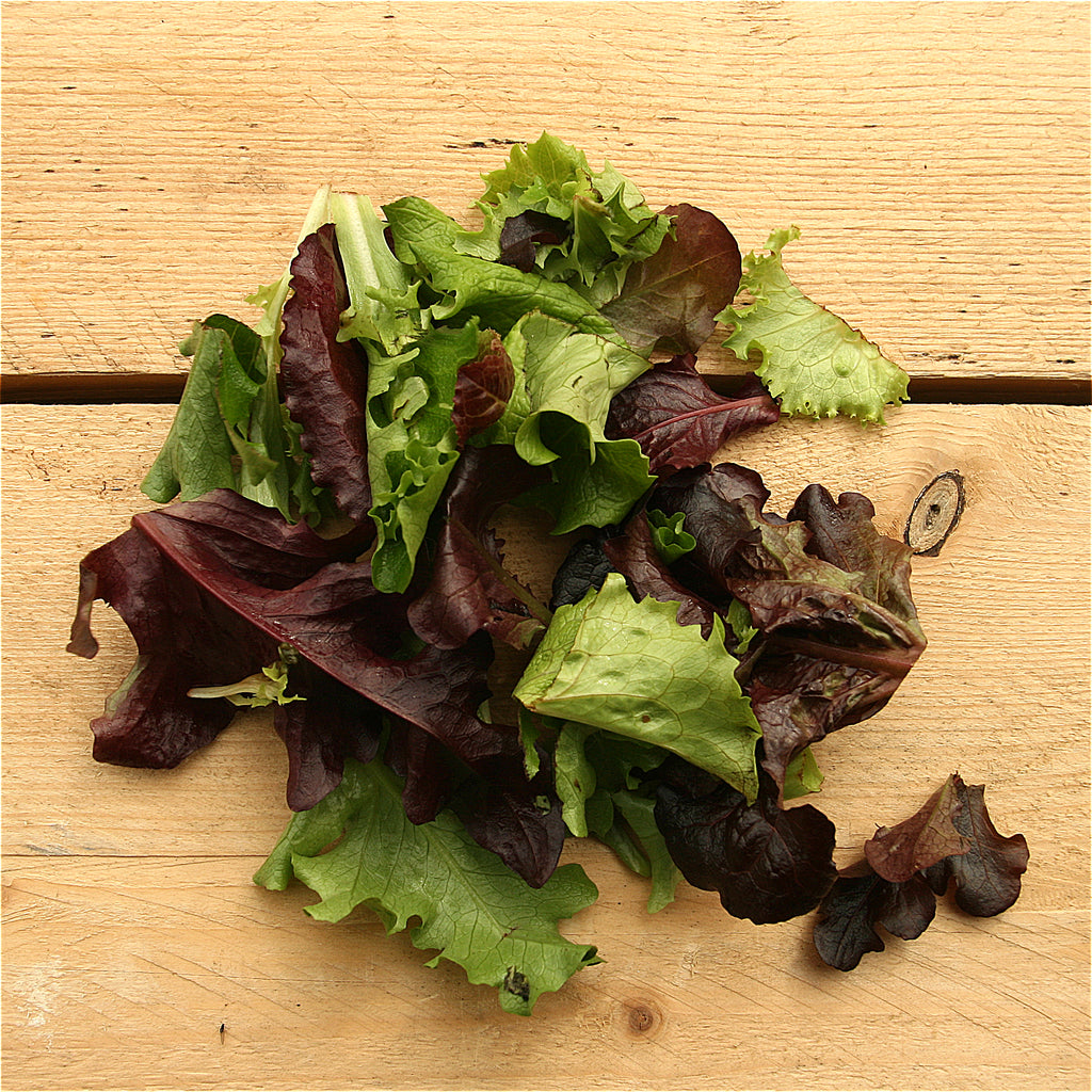 mixed salad leaves 100g kent