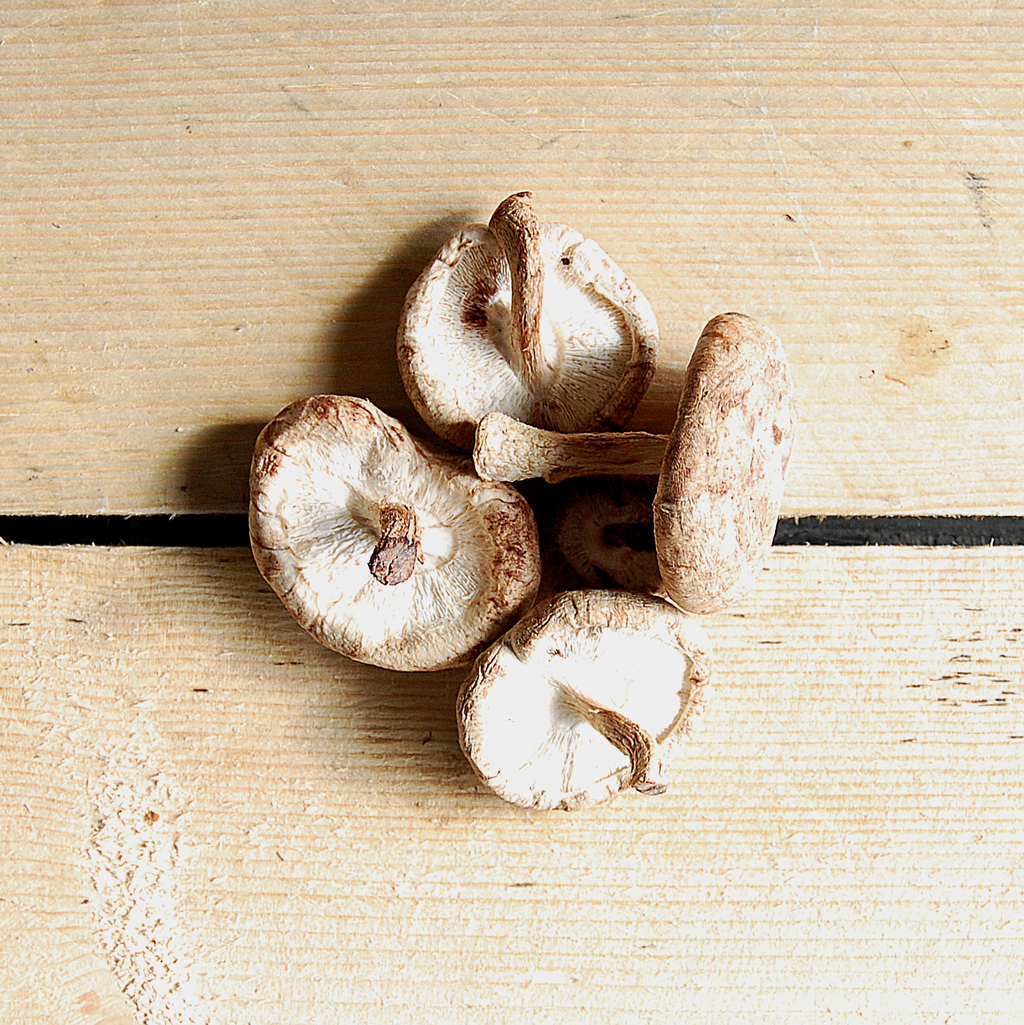 mushrooms shiitake 100g