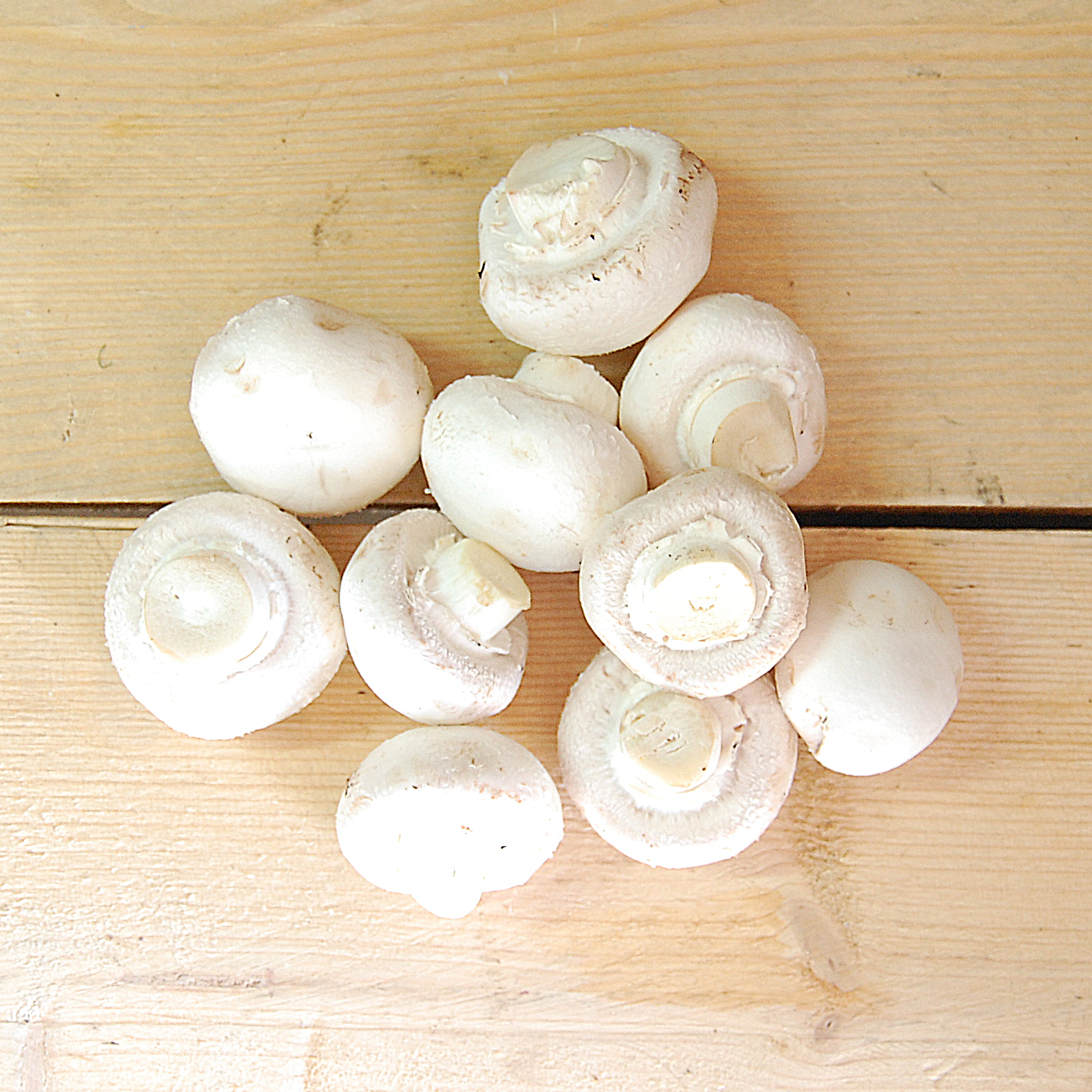 mushrooms white 250g suffolk