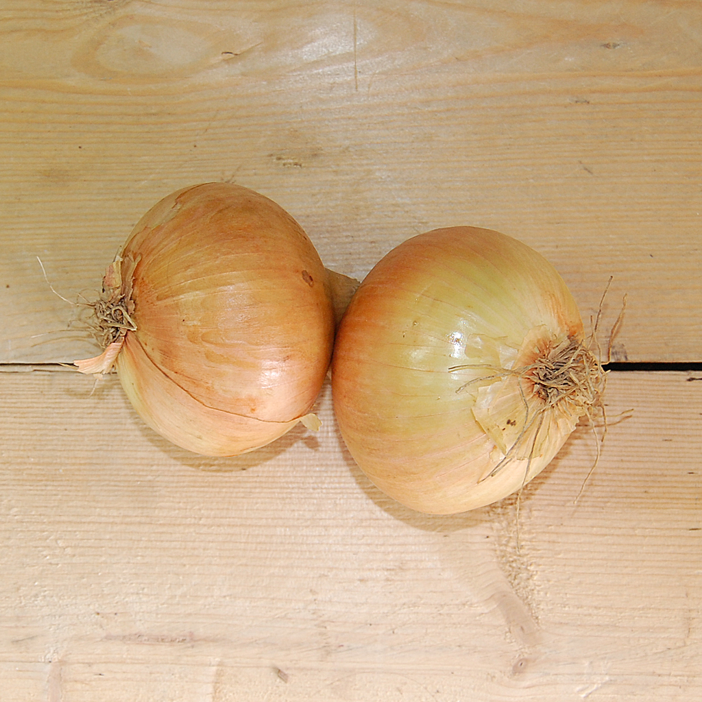 onions brown 1kg