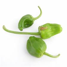 peppers green padron 200g