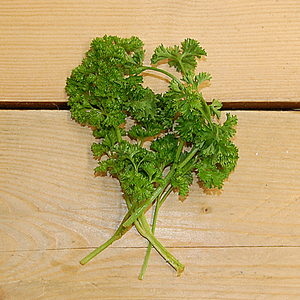 parsley curly (bd) 50g kent