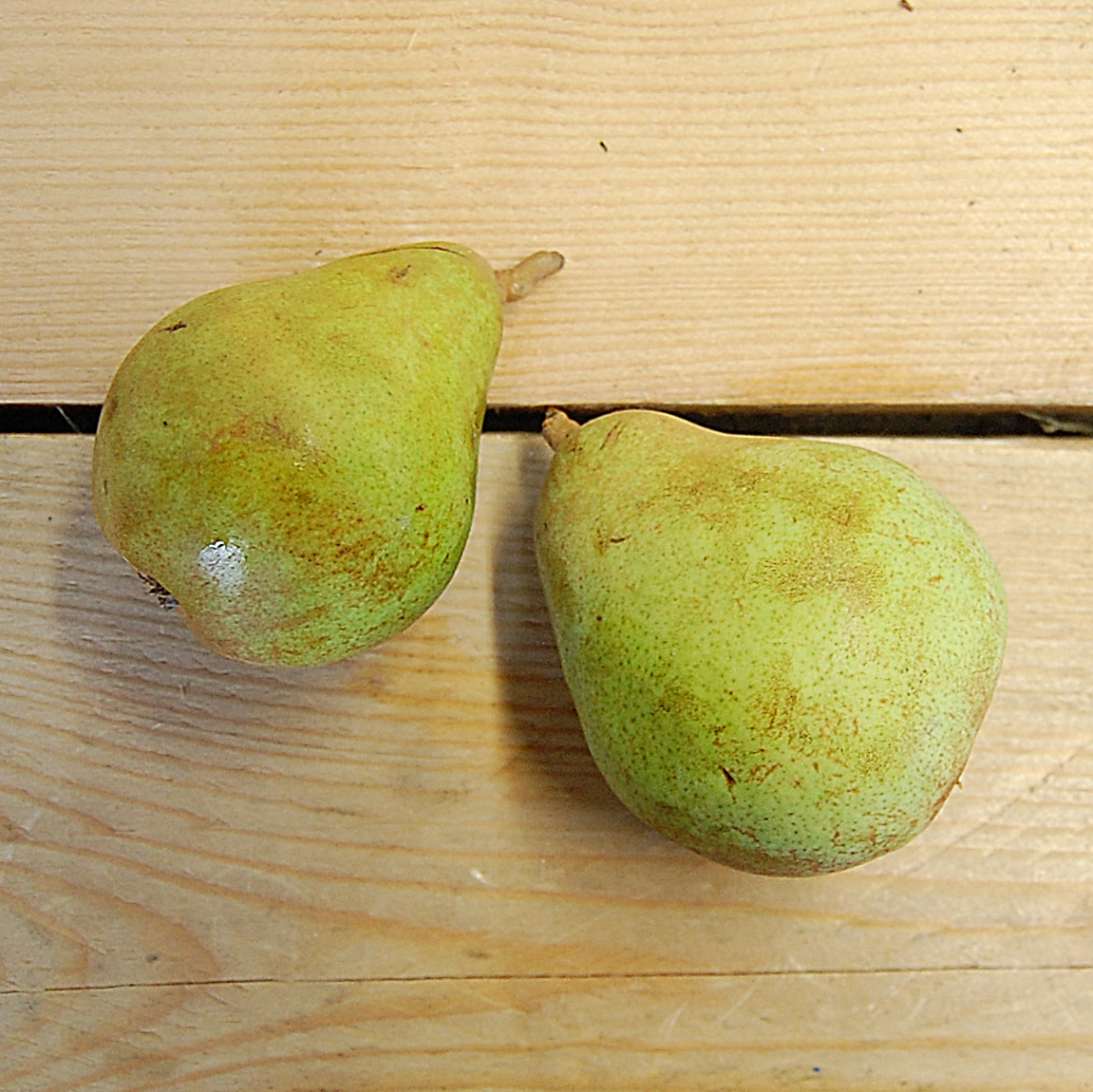 pears conference (bd) 600g suffolk