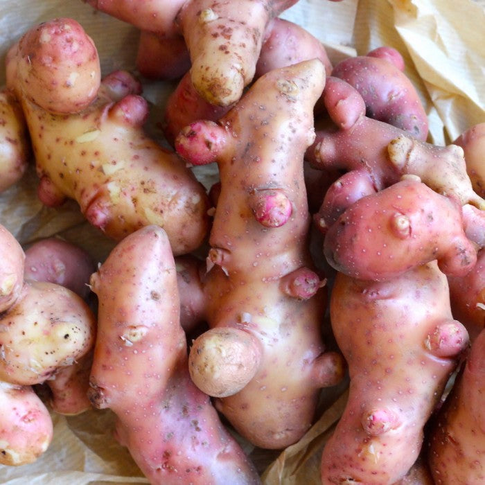 potatoes pink fir apple 500g kent