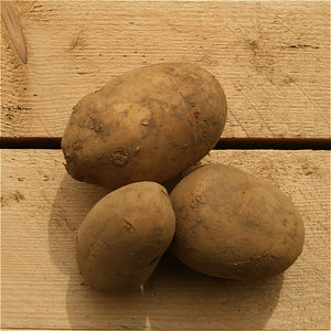 potatoes athlete (bd) 1kg