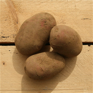 potatoes red alouette 1kg kent