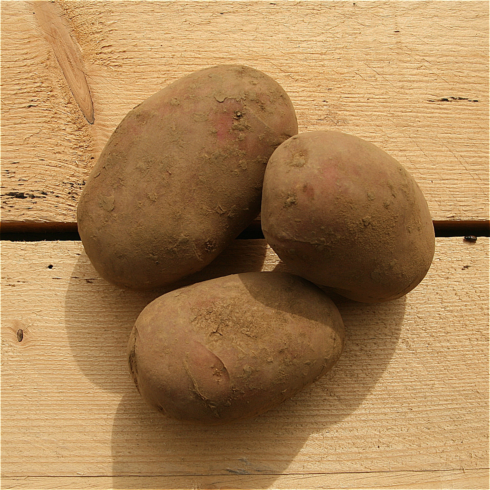potatoes special rate with standard box 1kg