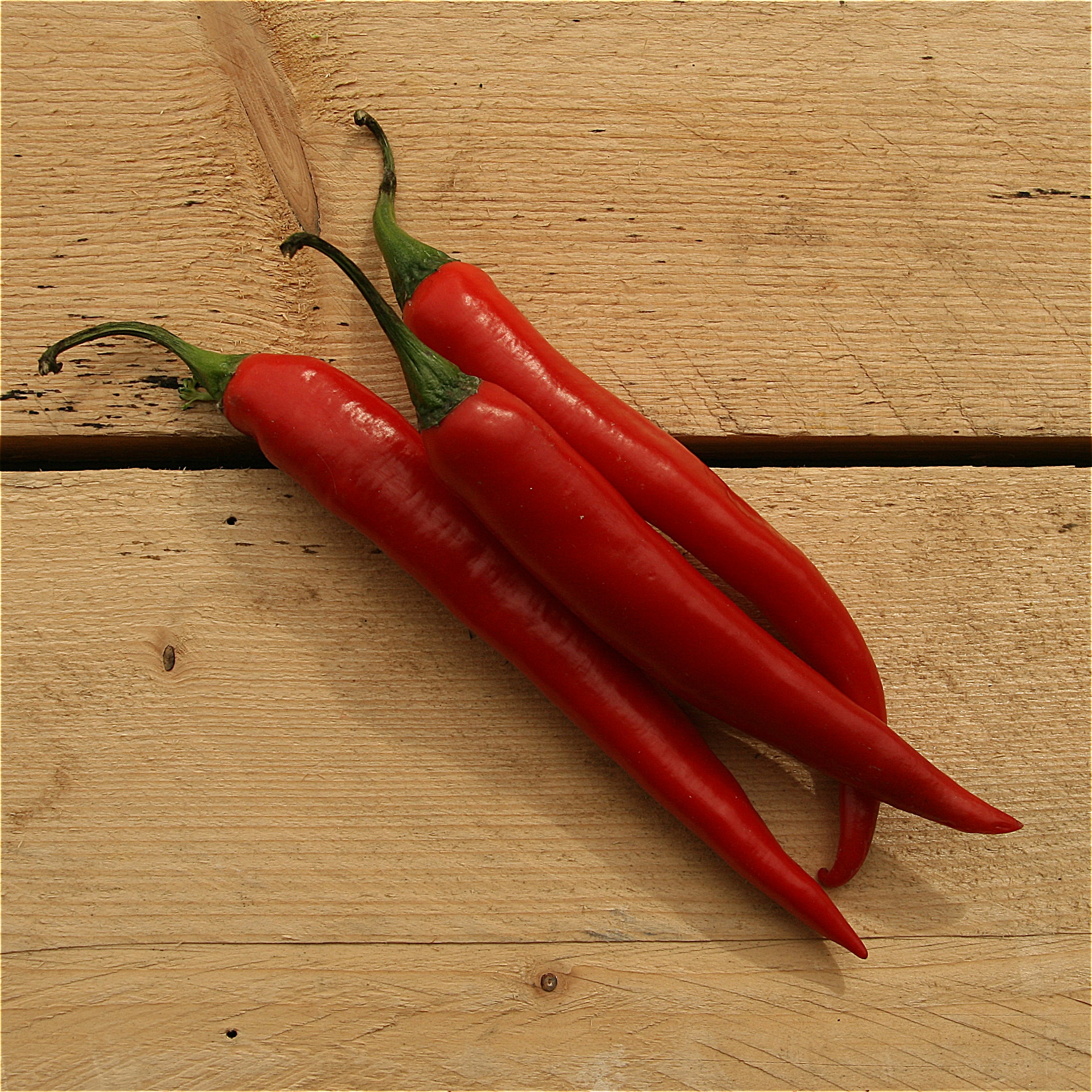Peppers, Red