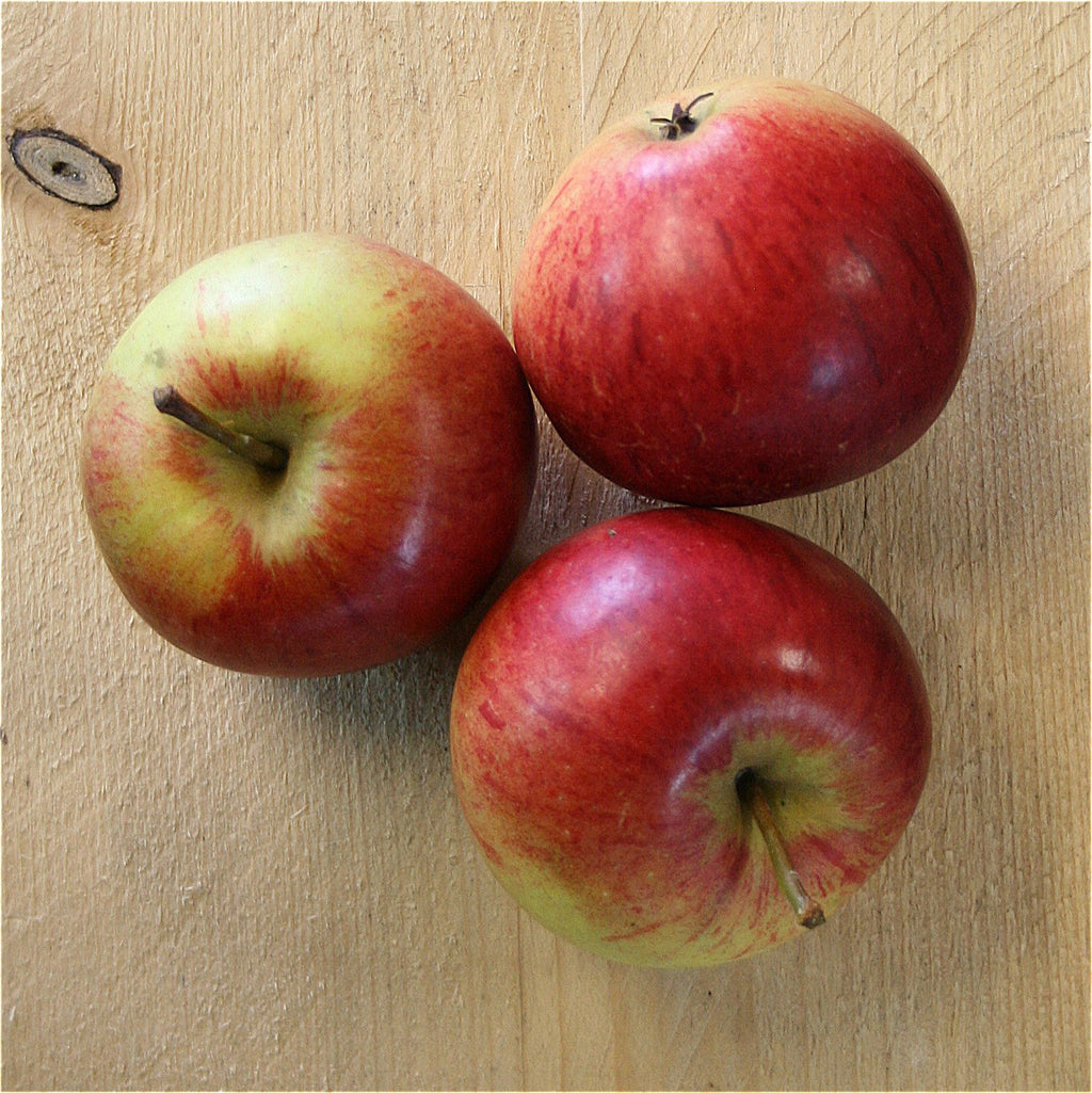 apples cox (bd) 500g suffolk