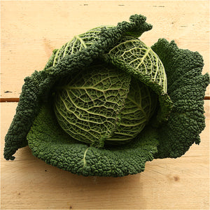 cabbage savoy suffolk