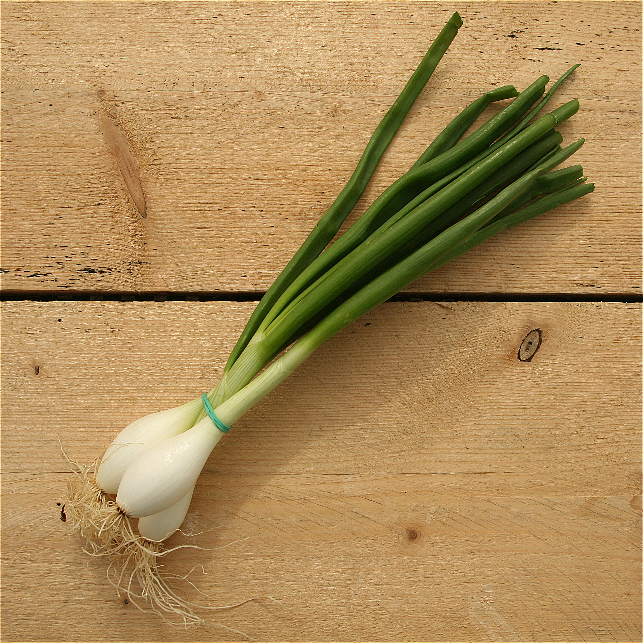 spring onions (bd) kent
