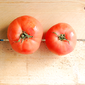 beefsteak tomatoes 500g iow