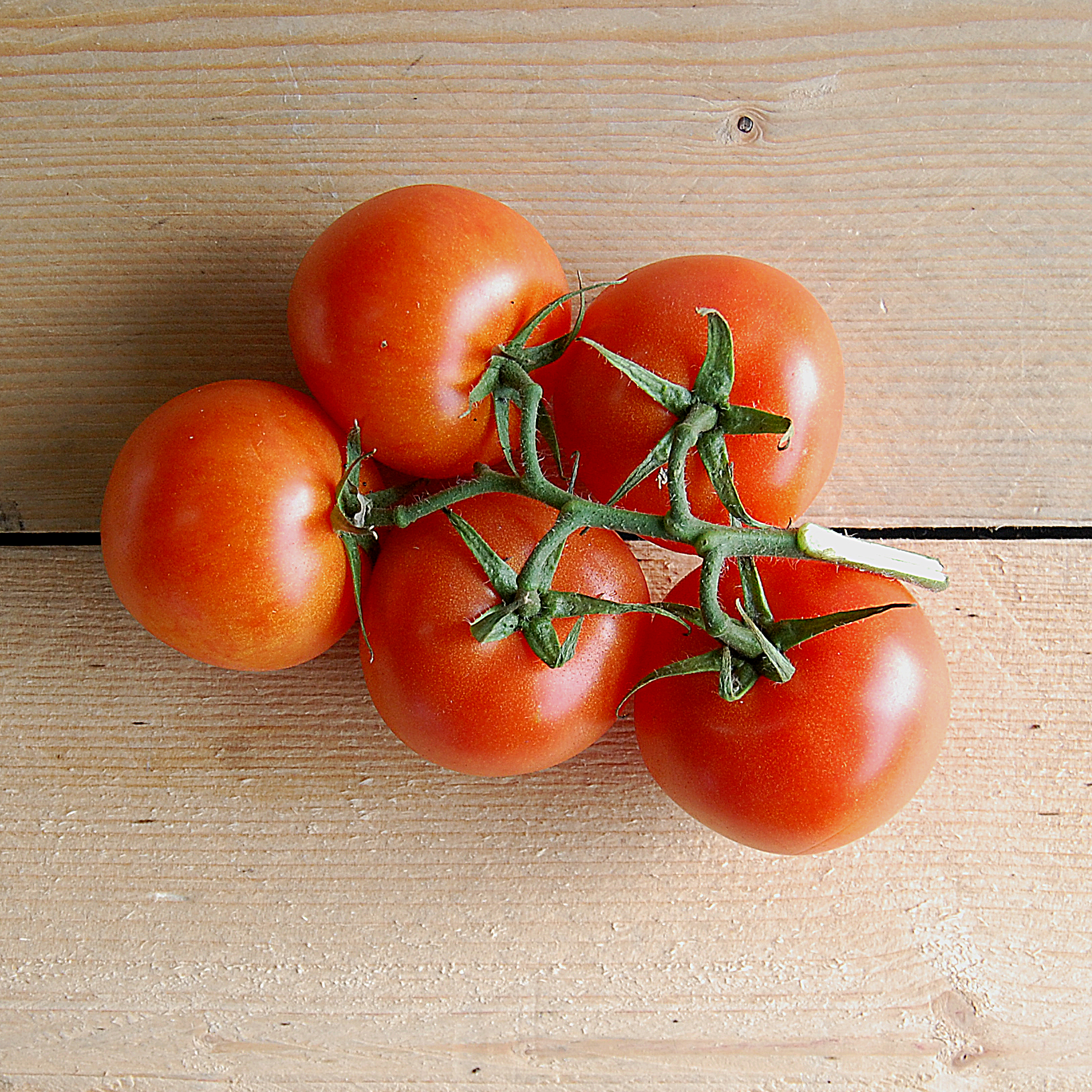 tomatoes vine 500g iow