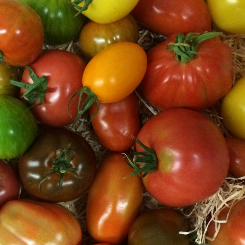 tomatoes heirloom 400g iow - not certified organic